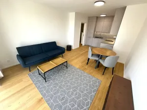 Pronájem bytu 2+kk, Brno, Bratislavská, 48 m2