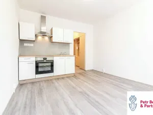 Pronájem bytu 1+kk, Rakovník, Šamotka, 20 m2