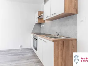 Pronájem bytu 1+kk, Rakovník, Šamotka, 20 m2