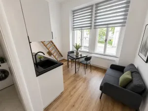 Pronájem bytu 1+kk, Praha - Vinohrady, Velehradská, 25 m2