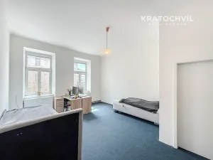 Prodej bytu 3+1, Brno, Údolní, 115 m2