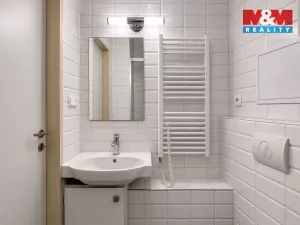 Pronájem bytu 1+kk, Praha - Žižkov, Bořivojova, 33 m2