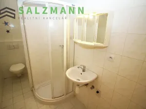 Pronájem bytu 2+kk, Plzeň, Malesická, 43 m2