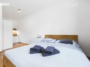 Prodej bytu 1+kk, Deštné v Orlických horách, 36 m2