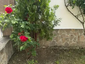 Prodej rodinného domu, Nesebar, Bulharsko, 340 m2