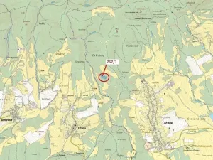 Dražba lesa, Lačnov, 12637 m2