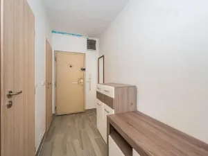 Prodej bytu 2+kk, Brno, Oblá, 49 m2