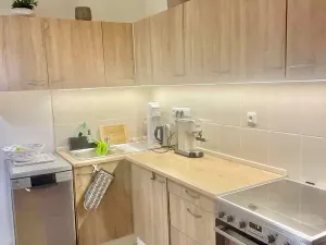 Pronájem bytu 1+1, Praha, 50 m2