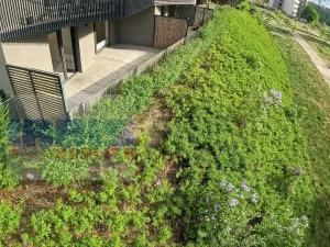 Pronájem bytu 2+kk, Plzeň, Papírnická, 50 m2