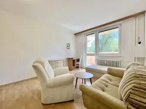 Pronájem bytu 1+1, Napajedla, Nábřeží, 33 m2