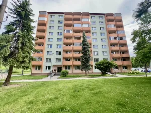 Pronájem bytu 1+1, Napajedla, Nábřeží, 33 m2