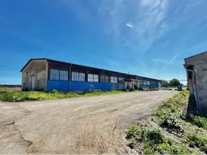 Prodej výrobních prostor, Řídký, 983 m2