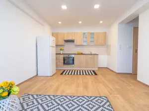 Pronájem bytu 2+kk, Mladá Boleslav, Jičínská, 39 m2