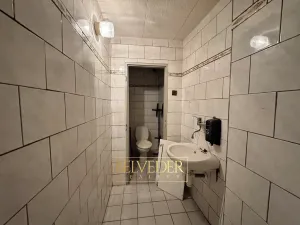 Pronájem obchodního prostoru, Teplice, Školní, 441 m2