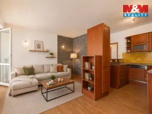 Prodej bytu 3+kk, Ostrava - Moravská Ostrava, Živičná, 68 m2