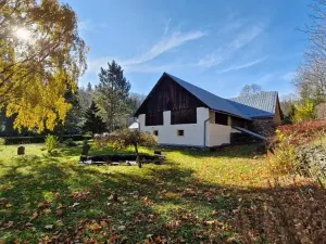 Prodej chalupy, Město Albrechtice, 150 m2