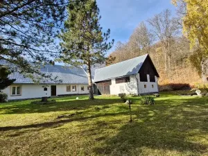 Prodej chalupy, Město Albrechtice, 150 m2