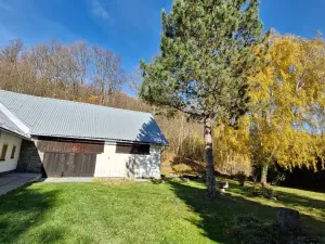 Prodej chalupy, Město Albrechtice, 150 m2