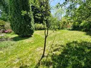 Prodej rodinného domu, Razová, 180 m2