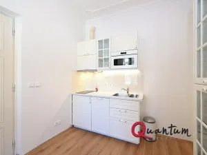 Pronájem bytu 2+1, Praha - Staré Město, Rybná, 55 m2