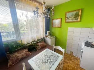 Prodej bytu 2+1, Duchcov, Vrchlického, 61 m2