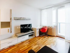 Pronájem bytu 1+kk, Praha - Vysočany, Freyova, 32 m2
