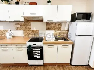Pronájem bytu 1+1, Brno, Kotlářská, 41 m2