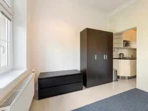 Prodej bytu 1+kk, Brno, Drobného, 30 m2