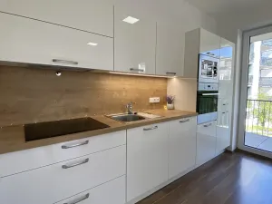 Pronájem bytu 2+kk, Brno, Kollárova, 85 m2