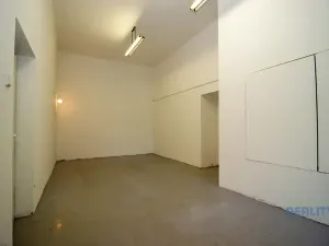 Pronájem kanceláře, Brandýs nad Labem-Stará Boleslav, Pražská, 73 m2