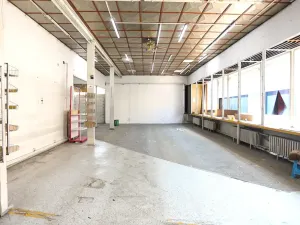 Prodej obchodního prostoru, Kolín, Tovární, 229 m2