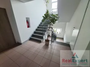Pronájem bytu 1+kk, Praha - Žižkov, Jeseniova, 20 m2