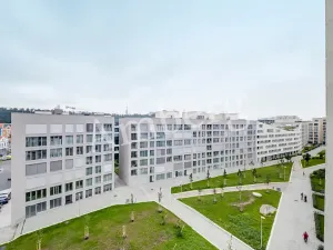 Pronájem bytu 2+kk, Praha - Karlín, Breitfeldova, 40 m2