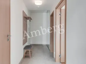 Pronájem bytu 2+kk, Praha - Karlín, U Mlýnského kanálu, 56 m2