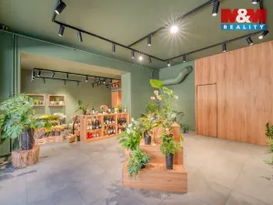 Pronájem obchodního prostoru, Plzeň - Jižní Předměstí, Americká, 145 m2