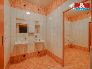 Pronájem obchodního prostoru, Plzeň - Jižní Předměstí, Americká, 145 m2