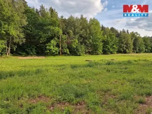 Prodej louky, Bor - Skviřín, 1522 m2