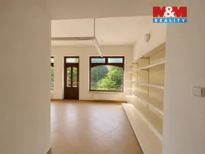Pronájem obchodního prostoru, Opava - Vávrovice, Vávrovická, 24 m2