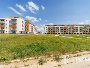 Pronájem bytu 1+kk, Olomouc, Aloise Rašína, 35 m2