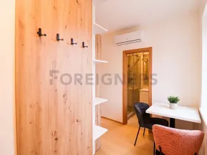 Pronájem bytu 1+kk, Brno, Cyrilská, 19 m2