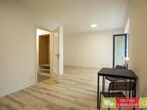 Pronájem bytu 1+kk, Praha, Štěchovická, 45 m2