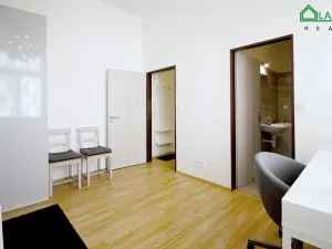 Pronájem bytu 1+kk, Brno, Koliště, 25 m2