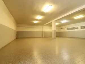Pronájem skladu, Brno, Bohunická, 260 m2