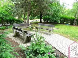 Pronájem bytu 2+1, Mladá Boleslav, Erbenova, 49 m2