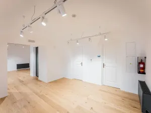 Pronájem obchodního prostoru, Praha - Malá Strana, Vlašská, 98 m2