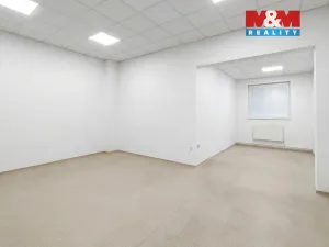 Pronájem kanceláře, Praha - Bubeneč, Podbabská, 33 m2