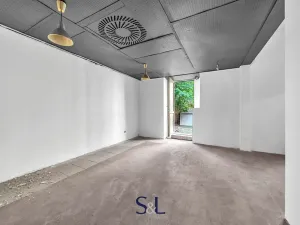 Prodej obchodního prostoru, Praha - Vysočany, Novovysočanská, 222 m2