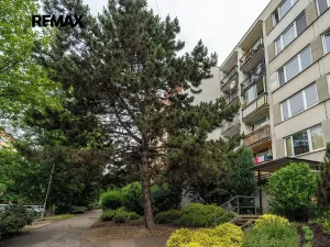 Pronájem bytu 1+1, Kralupy nad Vltavou, Přemyslova, 40 m2