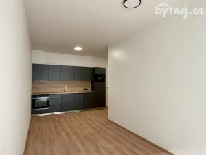 Pronájem bytu 2+kk, Brno, 46 m2