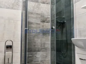 Pronájem bytu 1+kk, České Budějovice, Nová, 30 m2